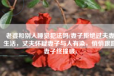 老婆和别人睡觉犯法吗(妻子拒绝过夫妻生活，丈夫怀疑妻子与人有染，悄悄跟踪妻子终撞破)