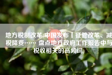 地方税制改革(中国发布丨征管改革、减税降费…… 盘点地方政府工作报告中与税收相关的高频词)