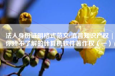 法人身份证明格式范文(滇晋知识产权 | 你所不了解的计算机软件著作权（一）)