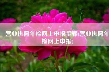 营业执照年检网上申报步骤(营业执照年检网上申报)