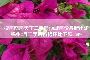 搜房网房天下二手房(70城房价最新出炉！锦州2月二手房价格环比下跌0.70%)