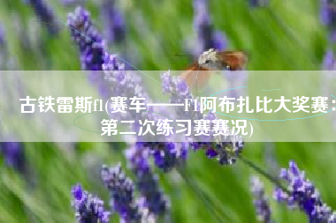 古铁雷斯f1(赛车——F1阿布扎比大奖赛：第二次练习赛赛况)