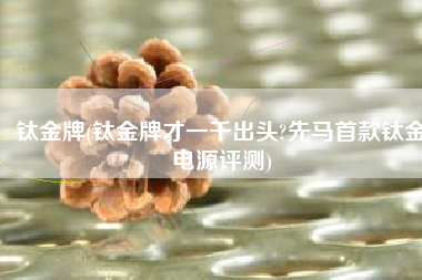 钛金牌(钛金牌才一千出头?先马首款钛金电源评测)