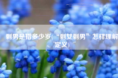 剩男是指多少岁(“剩女剩男”怎样理解定义)