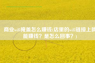 商业wifi掩盖怎么赚钱(店里的wifi链接上就能赚钱？是怎么回事？)