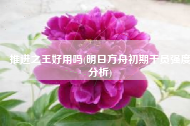 推进之王好用吗(明日方舟初期干员强度分析)