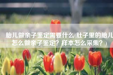 胎儿做亲子鉴定需要什么(肚子里的胎儿怎么做亲子鉴定？样本怎么采集？)