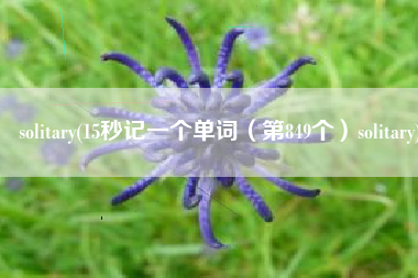 solitary(15秒记一个单词（第849个）solitary)