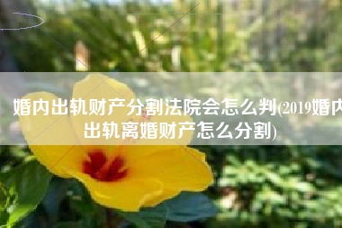 婚内出轨财产分割法院会怎么判(2019婚内出轨离婚财产怎么分割)