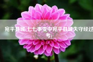宛平县城(七七事变中宛平县城失守经过考)