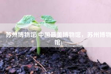 苏州博物馆(中国最美博物馆，苏州博物馆)