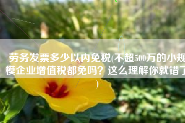 劳务发票多少以内免税(不超500万的小规模企业增值税都免吗？这么理解你就错了)
