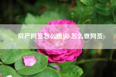 房产网签怎么查询(怎么查网签)