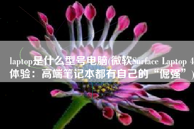 laptop是什么型号电脑(微软Surface Laptop 4体验：高端笔记本都有自己的“倔强”)