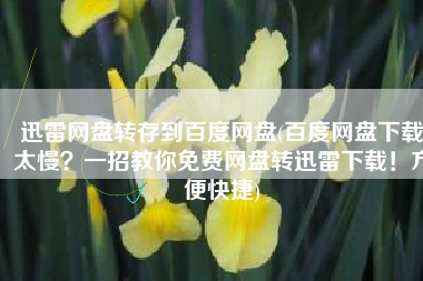 迅雷网盘转存到百度网盘(百度网盘下载太慢？一招教你免费网盘转迅雷下载！方便快捷)