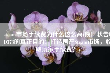 steam市场手续费为什么这么高(鹅厂状告DD373的真正目的：打造国产Steam市场，收取玩家手续费？)