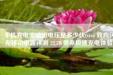 手机充电宝输出电压是多少伏(vivo 双向闪充移动电源评测 22.5W带来极速充电体验)