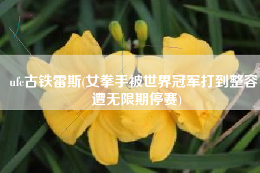 ufc古铁雷斯(女拳手被世界冠军打到整容，遭无限期停赛)