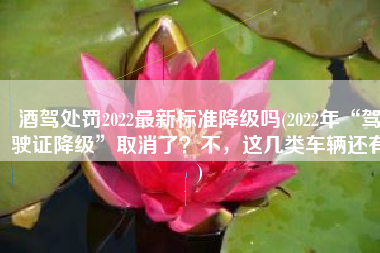 酒驾处罚2022最新标准降级吗(2022年“驾驶证降级”取消了？不，这几类车辆还有)