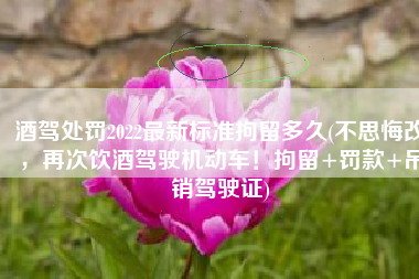 酒驾处罚2022最新标准拘留多久(不思悔改，再次饮酒驾驶机动车！拘留+罚款+吊销驾驶证)