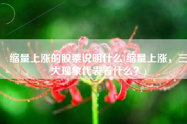 缩量上涨的股票说明什么(缩量上涨，三大现象代表着什么？)