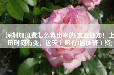 深圳加班费怎么算出来的(重要通知！上班时间有变，这天上班有3倍加班工资)