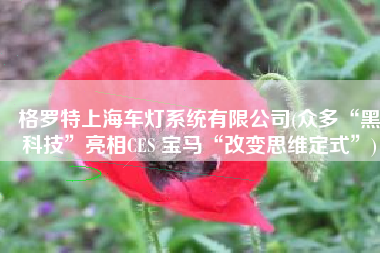 格罗特上海车灯系统有限公司(众多“黑科技”亮相CES 宝马“改变思维定式”)