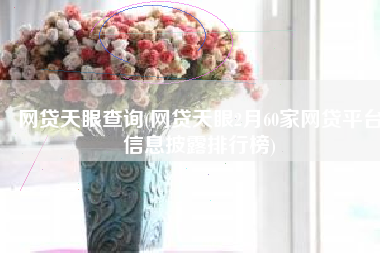 网贷天眼查询(网贷天眼2月60家网贷平台信息披露排行榜)