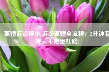 离婚诉讼程序(诉讼离婚全流程，2分钟看完，不跑冤枉路)