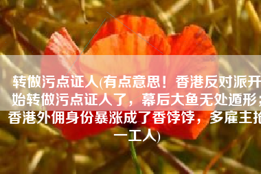 转做污点证人(有点意思！香港反对派开始转做污点证人了，幕后大鱼无处遁形；香港外佣身份暴涨成了香饽饽，多雇主抢一工人)