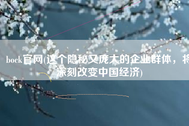 bock官网(这个隐秘又庞大的企业群体，将深刻改变中国经济)