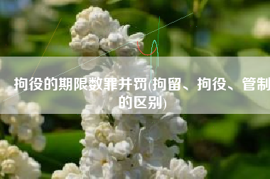 拘役的期限数罪并罚(拘留、拘役、管制的区别)