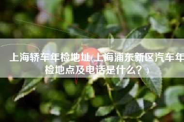 上海轿车年检地址(上海浦东新区汽车年检地点及电话是什么？)