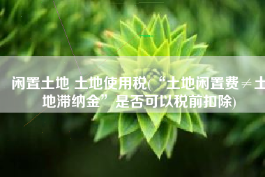 闲置土地 土地使用税(“土地闲置费≠土地滞纳金”是否可以税前扣除)