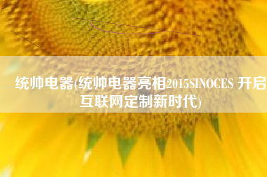 统帅电器(统帅电器亮相2015SINOCES 开启互联网定制新时代)