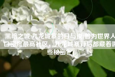 黑暗之城:九龙城寨的日与夜(曾为世界人口密度最高社区，九龙城寨背后都藏着哪些秘密？)