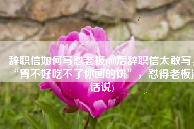 辞职信如何写怼老板(00后辞职信太敢写，“胃不好吃不了你画的饼”，怼得老板没话说)