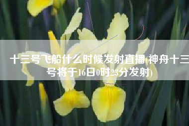 十三号飞船什么时候发射直播(神舟十三号将于16日0时23分发射)