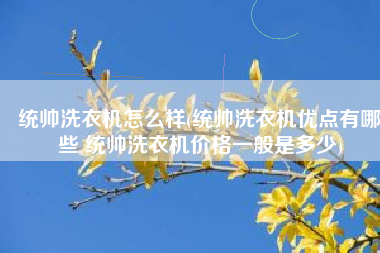 统帅洗衣机怎么样(统帅洗衣机优点有哪些 统帅洗衣机价格一般是多少)