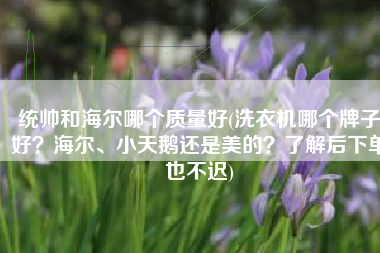 统帅和海尔哪个质量好(洗衣机哪个牌子好？海尔、小天鹅还是美的？了解后下单也不迟)