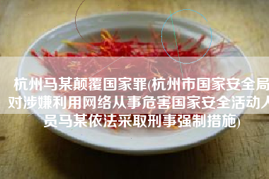 杭州马某颠覆国家罪(杭州市国家安全局对涉嫌利用网络从事危害国家安全活动人员马某依法采取刑事强制措施)