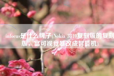 infocus是什么牌子(Nokia 3310复刻版的复刻版，富可视竟暴改成智能机)