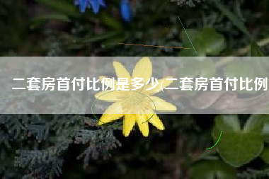 二套房首付比例是多少(二套房首付比例)