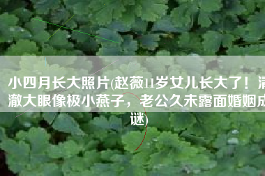 小四月长大照片(赵薇11岁女儿长大了！清澈大眼像极小燕子，老公久未露面婚姻成谜)