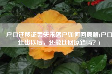 户口迁移证丢失未落户如何回原籍(户口迁出以后，还能迁回原籍吗？)