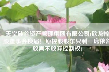 天堂硅谷资产管理集团有限公司(欣龙控股董事会换届！原控股股东只剩一席依然放言不放弃控制权)