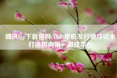 腾讯tgp下载官网(TGP:单机发行硬件试水 打造国内第一游戏平台)