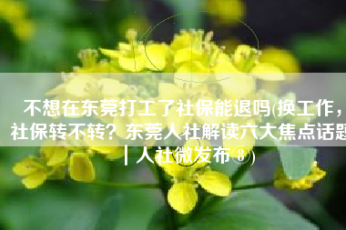不想在东莞打工了社保能退吗(换工作，社保转不转？东莞人社解读六大焦点话题｜人社微发布⑧)