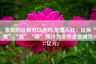 东莞的社保可以退吗(东莞人社：社保“缓”“返”“降”预计为全市企业减负39.27亿元)