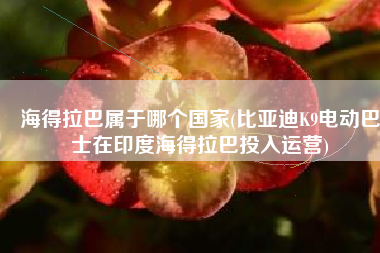 海得拉巴属于哪个国家(比亚迪K9电动巴士在印度海得拉巴投入运营)